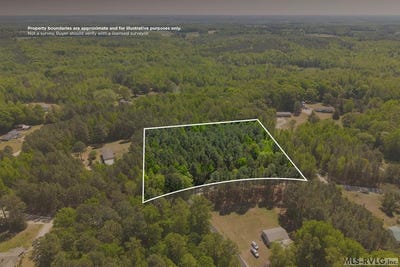 /international/us/twin-cedar-rd-lot-6-south-hill-va-110107551900/