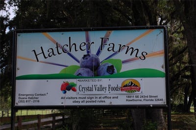 /international/us/18811-se-243rd-street-hawthorne-fl-110101254636/