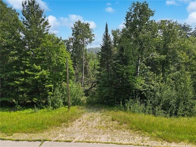 /international/us/tbd-lower-ten-mile-lake-rd-nw-hackensack-mn-110101152900/?lang=zh-tw