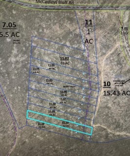 /international/us/mccauleys-bluff-holladay-tn-110102330882/