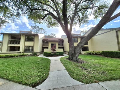 /international/us/50-woodlake-place-oldsmar-fl-110107956480/