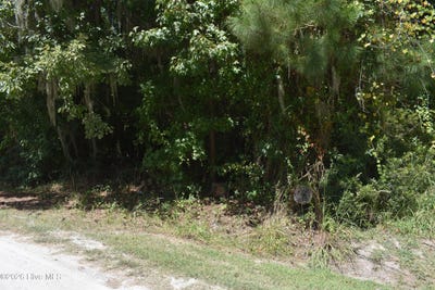 /international/us/cypress-drive-lot-21-blounts-creek-nc-110120149087/