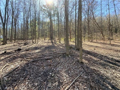 /international/us/fitzgerald-road-burdett-ny-110107880522/