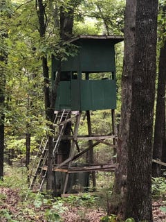 /international/us/buck-ridge-lane-lot-51-52-williford-ar-110106250020/