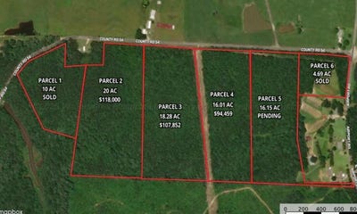 /international/us/00-co-rd-54-parcel-2-haleyville-al-110100969861/