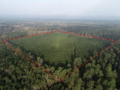 /international/us/nw1-4-nw1-4-section-28-township-17s-range-18w-el-dorado-ar-110104150585/