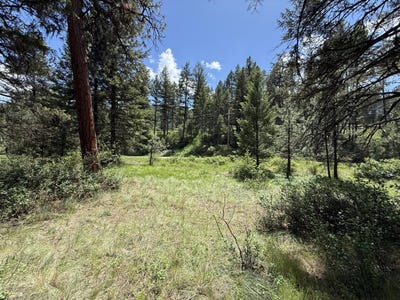 /international/us/21-pine-grove-st-republic-wa-110108439144/