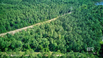/international/us/evans-road-chunchula-al-110092165341/
