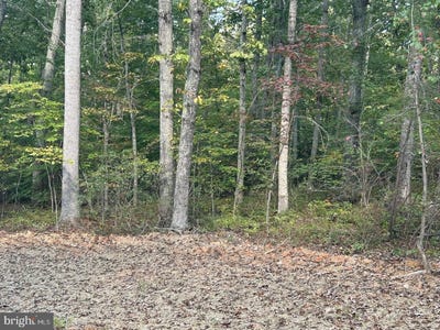 /international/us/parcel-18-camden-lane-elkwood-va-110103199364/