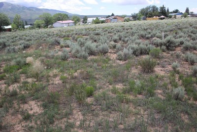 /international/us/lot-c-shirley-drive-questa-nm-110093139431/