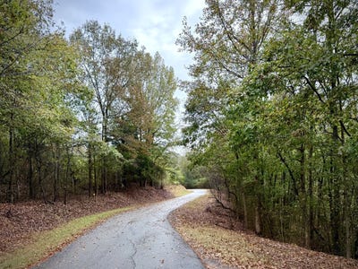 /international/us/0-scott-road-sipsey-al-110103182306/