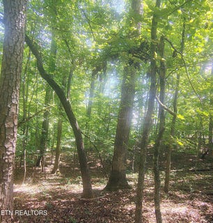 /international/us/138-stooksbury-lane-andersonville-tn-110108193310/