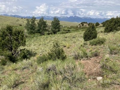 /international/us/565-marcy-ave-westcliffe-co-110101114329/?lang=zh-tw