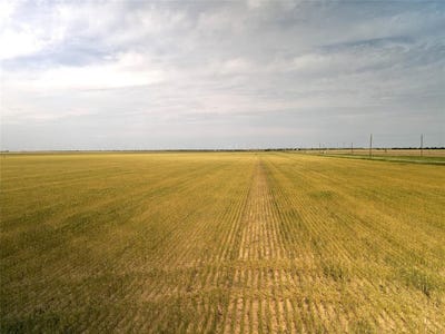 /international/us/338-acres-fm-617-no-city-tx-110099162042/