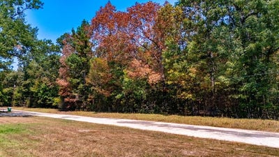 /international/us/185-oak-grove-road-huntington-tx-110119730180/