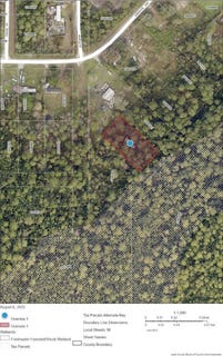 /international/us/raccoon-street-paisley-fl-110101454558/