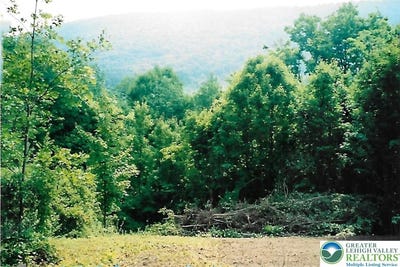 /international/us/pantherlick-road-pa-110110256847/