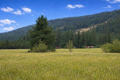 /international/us/3349-rockcut-rd-kettle-falls-wa-110099271102/