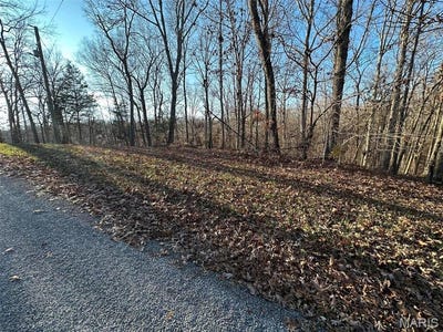 /international/us/15-wagon-creek-loop-creal-springs-il-110098953297/