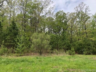 /international/us/batesville-ar-110100389480/