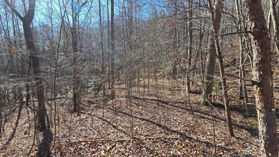 /international/us/lt-12-mountain-laurel-est-young-harris-ga-110105834899/