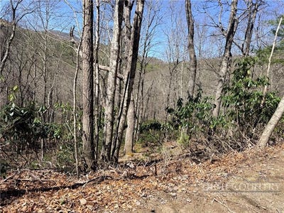 /international/us/lot-19-lost-trail-west-jefferson-nc-110108341879/