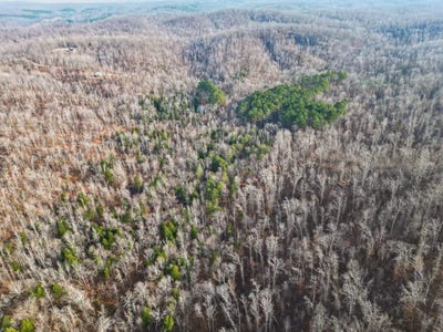 /international/us/lot-59-rustic-valley-dr-waverly-tn-110104451109/