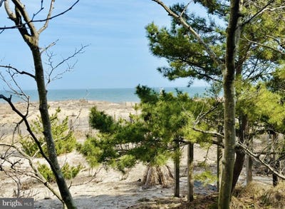 /international/us/6-34th-street-ocean-city-md-110108505586/