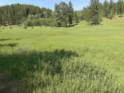 /international/us/highway-85-buckhorn-wy-110106724948/