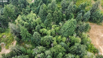 /international/us/tl400-erhart-rd-florence-or-110086794348/