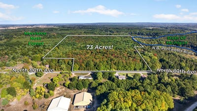 /international/us/8500-n-80th-avenue-pentwater-mi-110120089852/