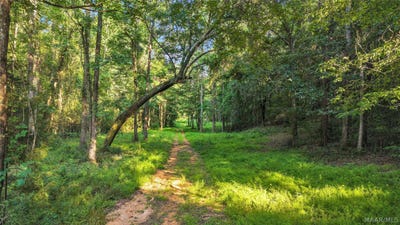 /international/us/1-burt-mill-road-tallassee-al-110109700183/