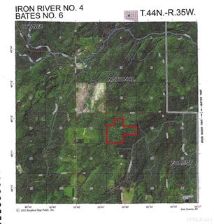 /international/us/camp-gibbs-road-iron-river-mi-110087743212/