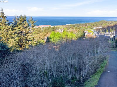 /international/us/3-saki-ln-yachats-or-110104900996/