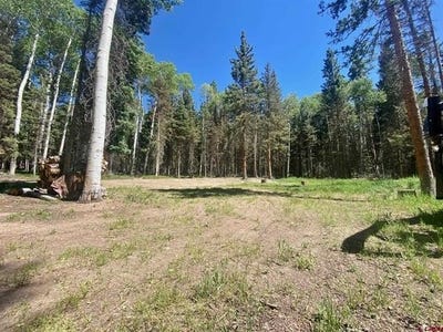 /international/us/1772-spruce-drive-cimarron-co-110099322332/