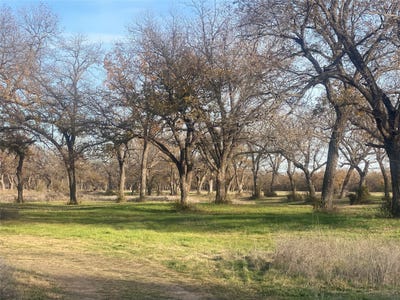 /international/us/1251-cr-360-gustine-tx-110108610066/