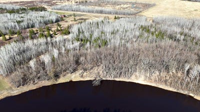 /international/us/county-road-79-lot-f-littlefork-mn-110108195235/