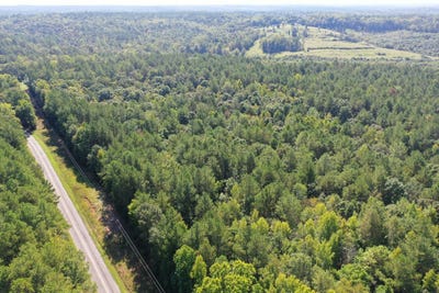 /international/us/neely-ferry-road-tract-a-waterloo-sc-110119960832/