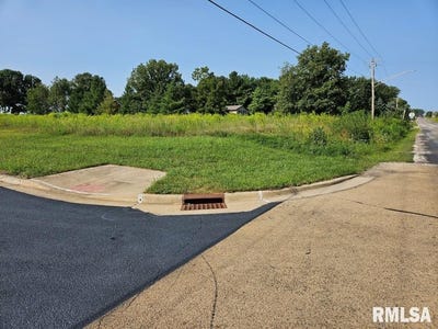 /international/us/kyle-court-lot-74-metamora-il-110087089982/