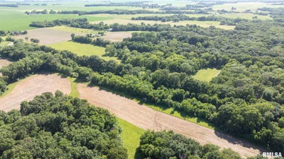 /international/us/8543-frey-road-pleasant-plains-il-110108178557/