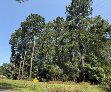 /international/us/lot-90-ponderosa-road-summerville-sc-110101165411/?lang=it