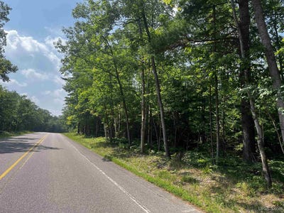 /international/us/20-acres-county-road-510-big-bay-mi-110101216882/?lang=zh-cn