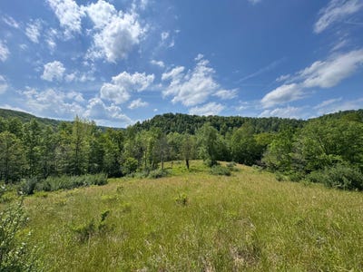 /international/us/0-little-rush-run-rd-normantown-wv-110108691034/