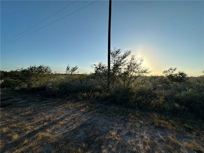 /international/us/laurel-drive-lot-16-sandia-tx-110110235668/