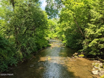 /international/us/295-railbed-trail-kunkletown-pa-110093541897/