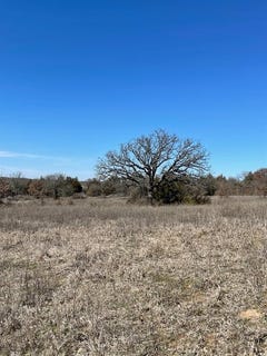 /international/us/342-trailride-lane-nocona-tx-110097811366/