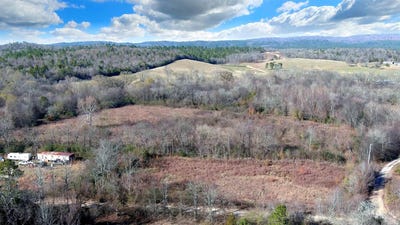 /international/us/118-peaceful-place-road-caddo-gap-ar-110105329962/