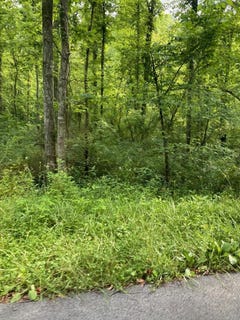 /international/us/16165-brushy-rd-pikeville-ky-110100613616/
