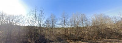 /international/us/claude-jackson-35-aliceville-al-110107922883/