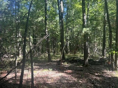 /international/us/9-mile-road-stanwood-mi-110119988742/